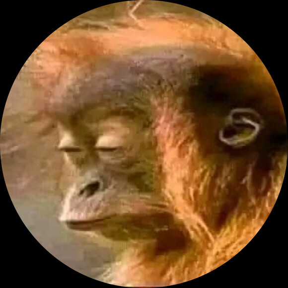trainedchimp